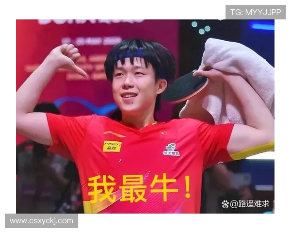 武汉乒乓球队逆袭之旅：从低谷到巅峰的奋斗与荣耀